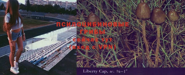 молекула духа Алексеевка