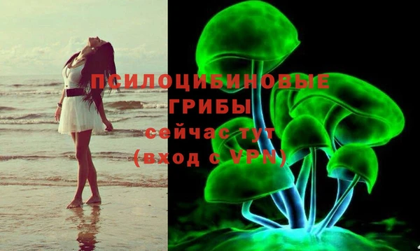 молекула духа Алексеевка