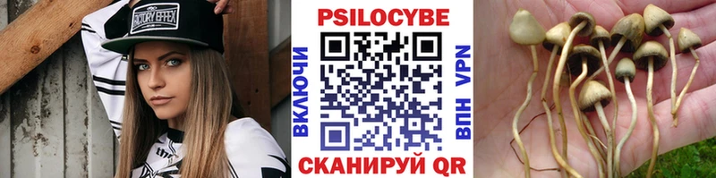 Псилоцибиновые грибы прущие грибы  Суровикино 